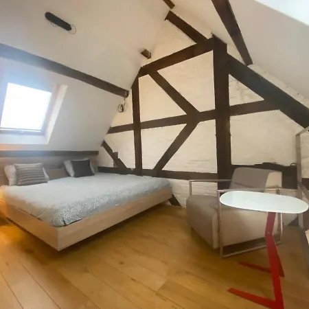 Triplex Neuvice Apartment Liege
