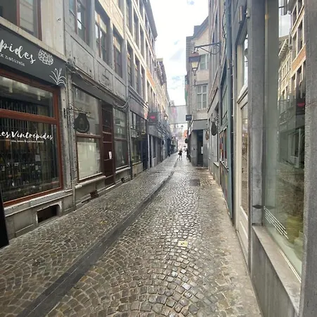 Apartment Triplex Neuvice