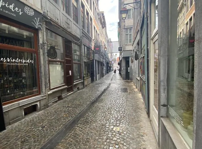 Apartment Triplex Neuvice